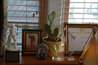 display